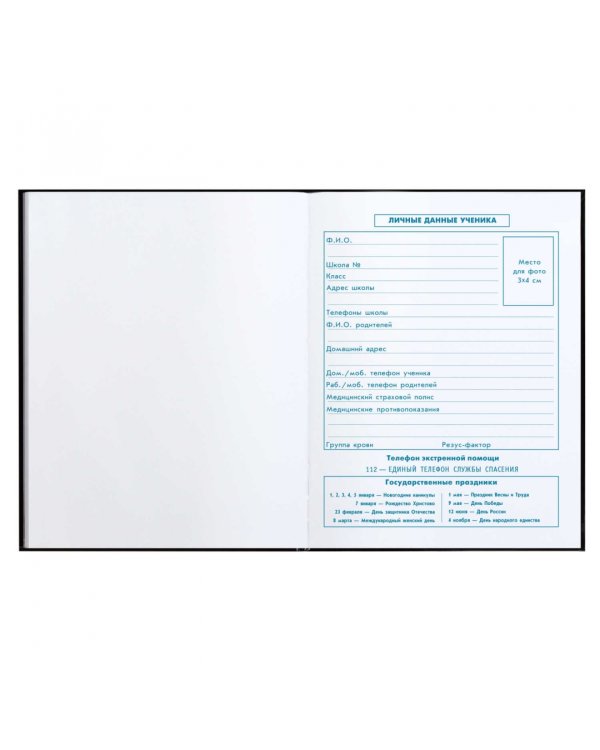 Дневник школьный для 1-4 классов Глаз дракона