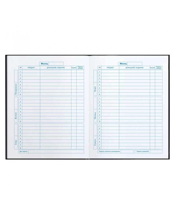 Дневник школьный для 1-4 классов Глаз дракона