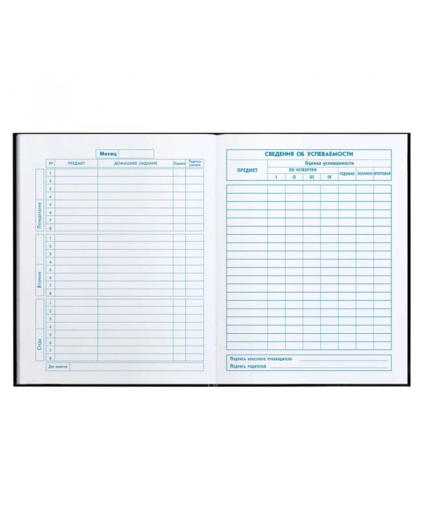 Дневник школьный для 1-4 классов Глаз дракона