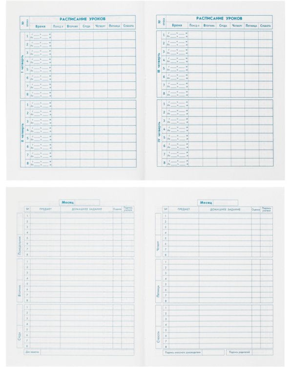 Дневник школьный для 5-11 классов Белая краска