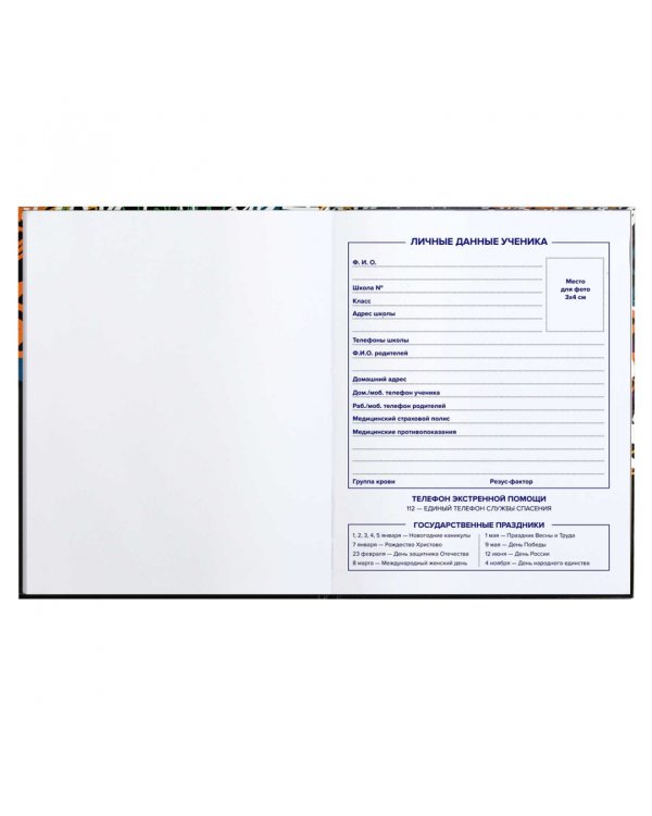 Дневник школьный для 5-11 классов Тэги