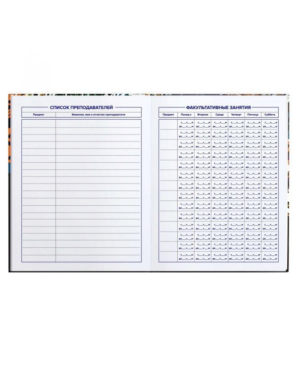 Дневник школьный для 5-11 классов Тэги