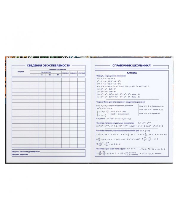 Дневник школьный для 5-11 классов Тэги