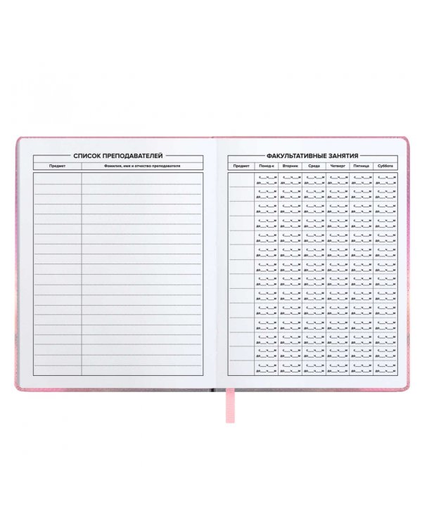 Дневник школьный Серый пушистик