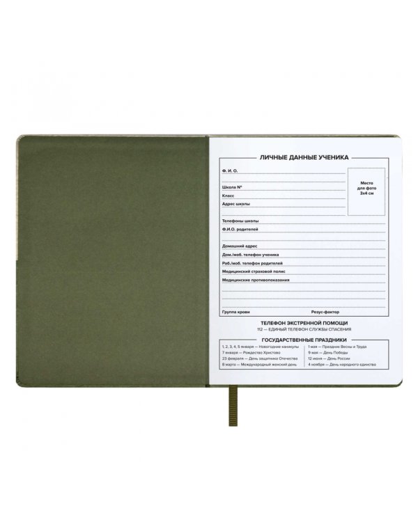 Дневник школьный 50/50 %