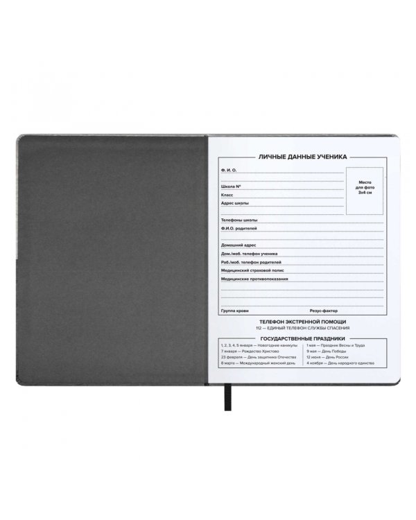 Дневник школьный 99/1 %