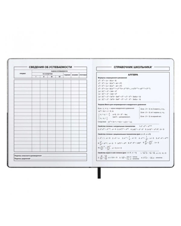 Дневник школьный 99/1 %