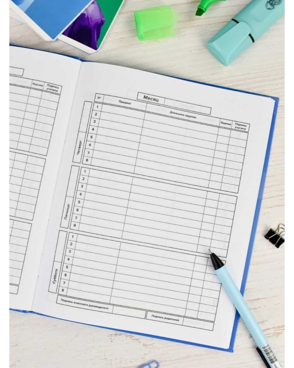 Дневник школьный Глобус