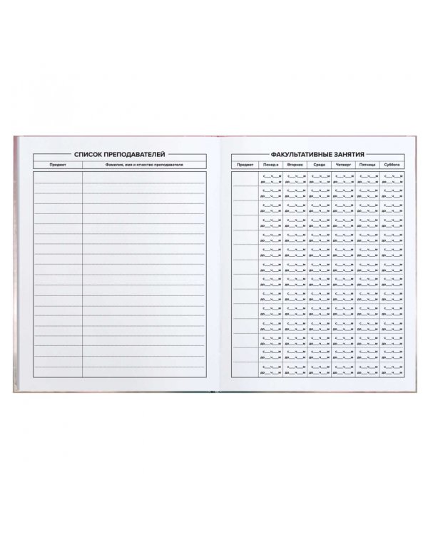 Дневник школьный Серый пушистик