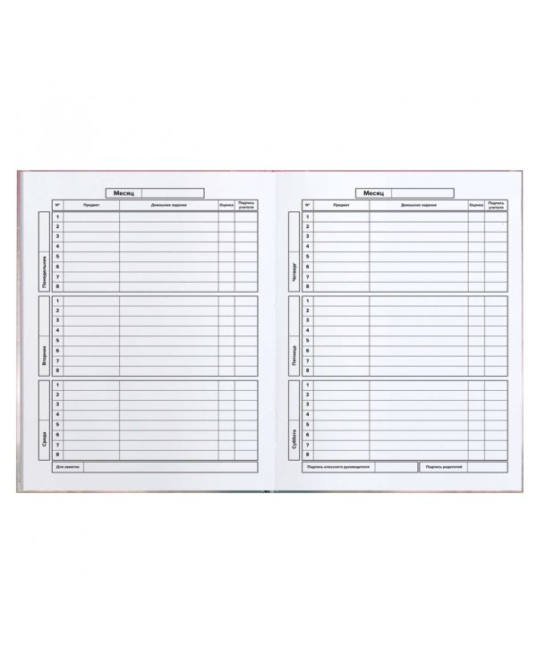 Дневник школьный Серый пушистик