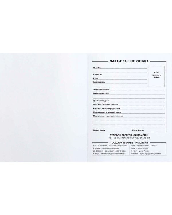 Дневник школьный Зеркало души