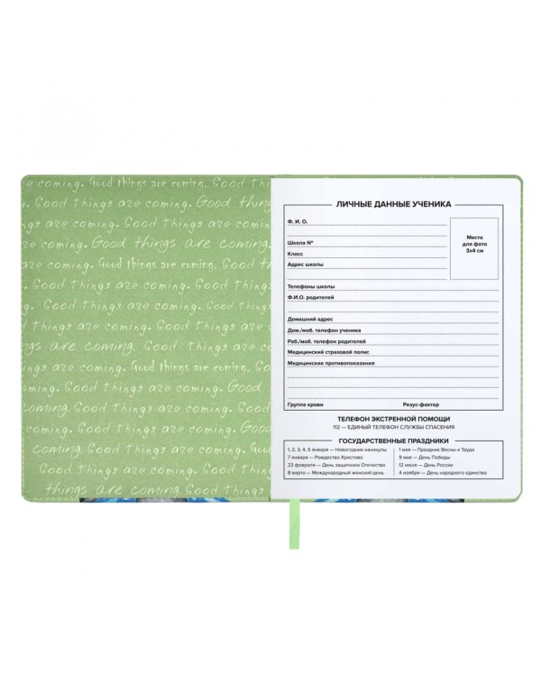 Дневник школьный Енот