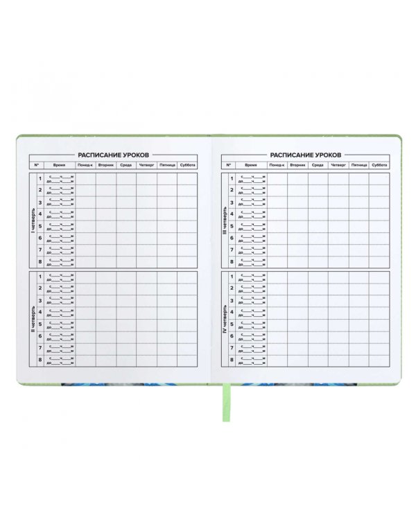 Дневник школьный Енот