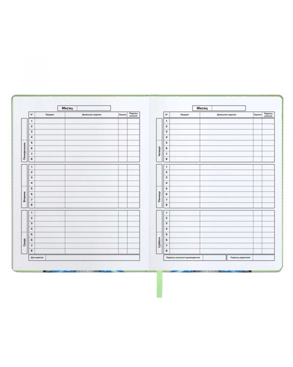 Дневник школьный Енот