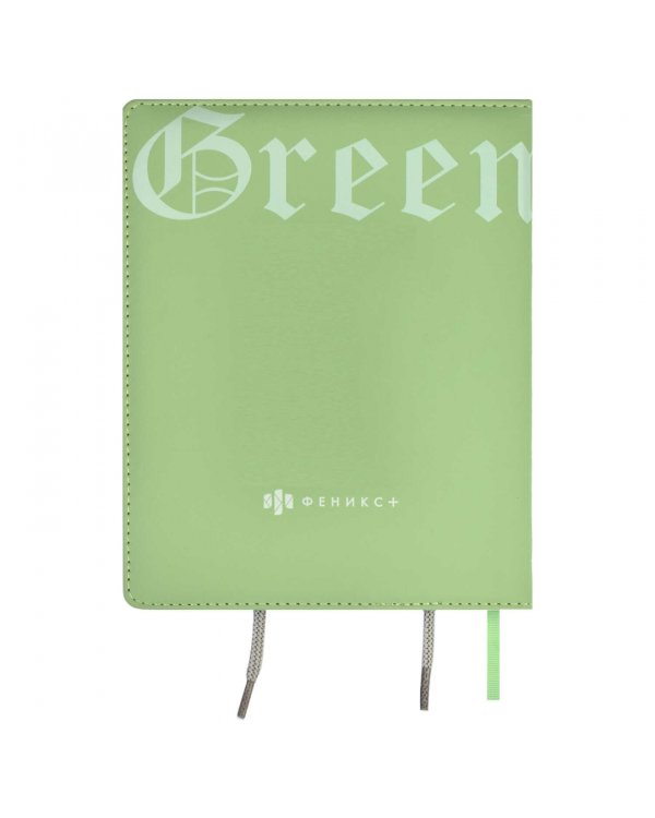 Дневник школьный Енот