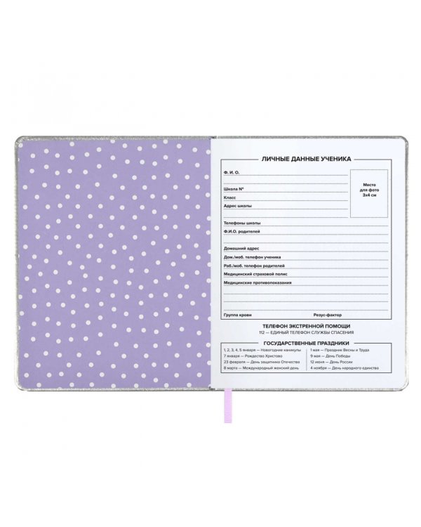 Дневник школьный Кот