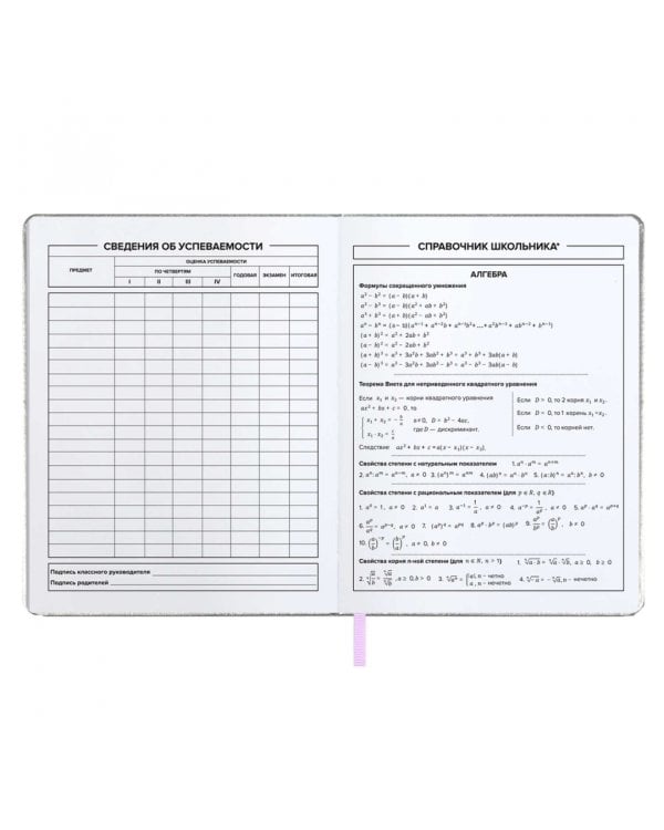 Дневник школьный Кот