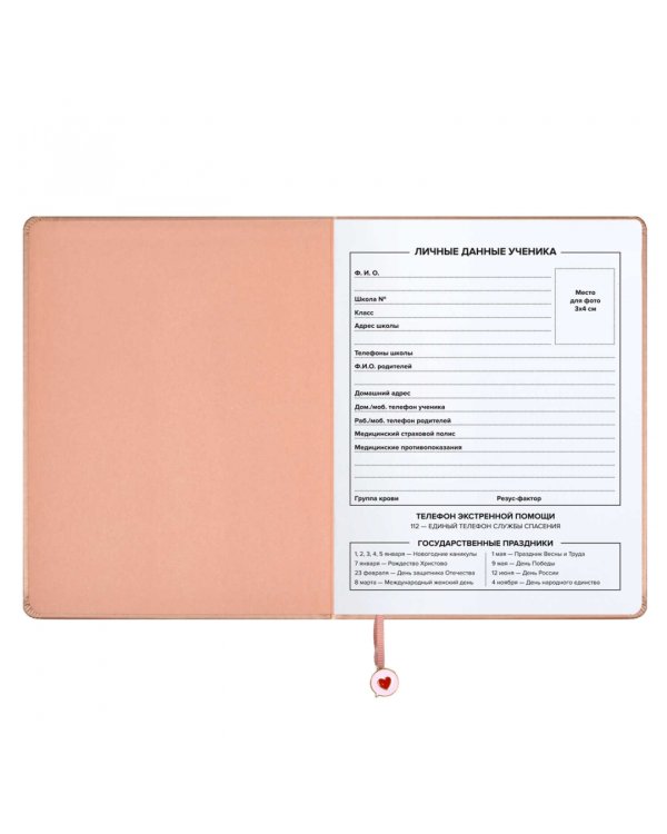 Дневник школьный Паттерн