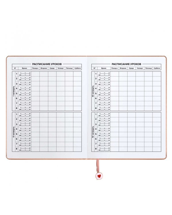 Дневник школьный Паттерн