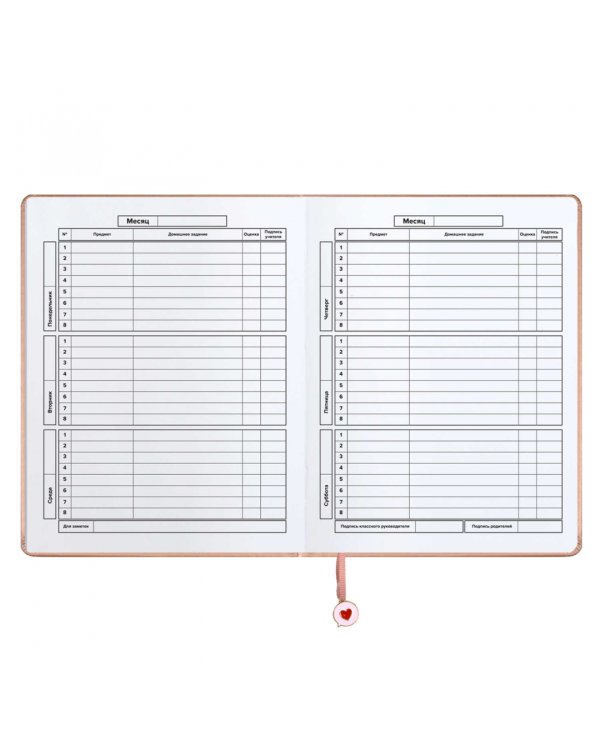 Дневник школьный Паттерн