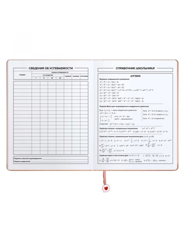 Дневник школьный Паттерн