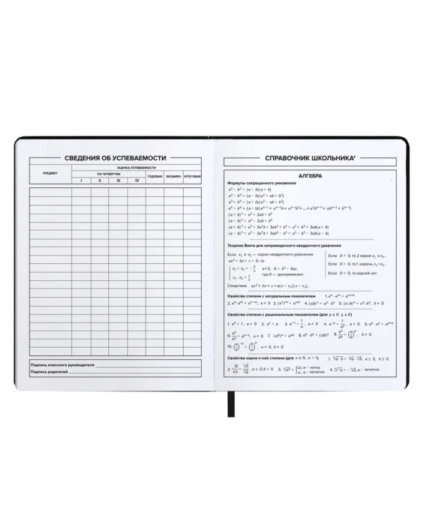 Дневник школьный Бэд бой