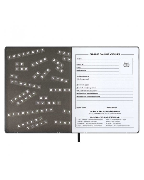 Дневник школьный Ноутбук