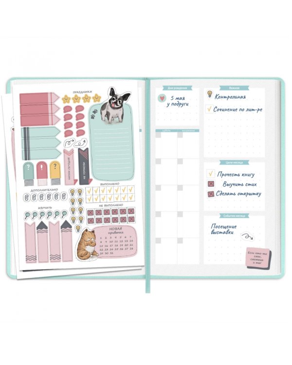 Планинг школьный Плонже мятный, А5, 80 листов