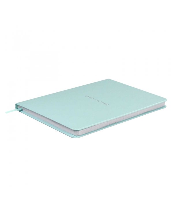 Планинг школьный Плонже мятный, А5, 80 листов