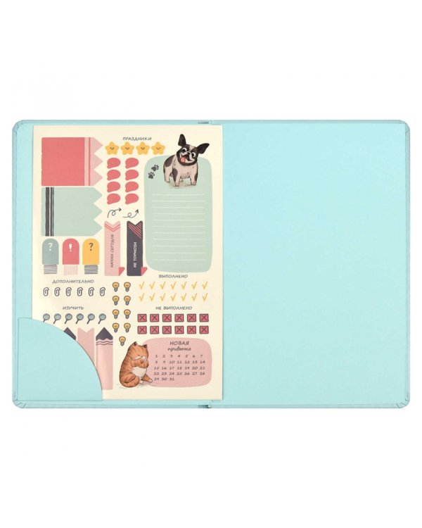 Планинг школьный Плонже мятный, А5, 80 листов