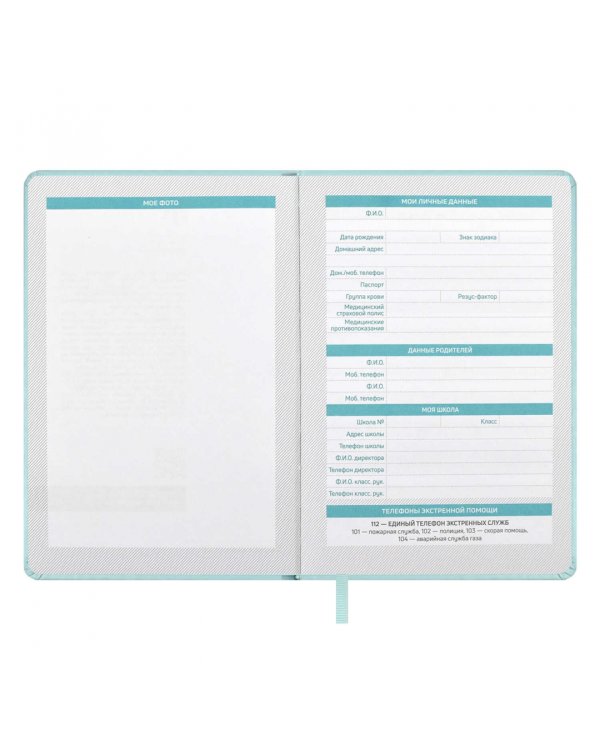 Планинг школьный Плонже мятный, А5, 80 листов