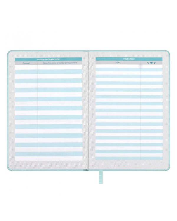 Планинг школьный Плонже мятный, А5, 80 листов