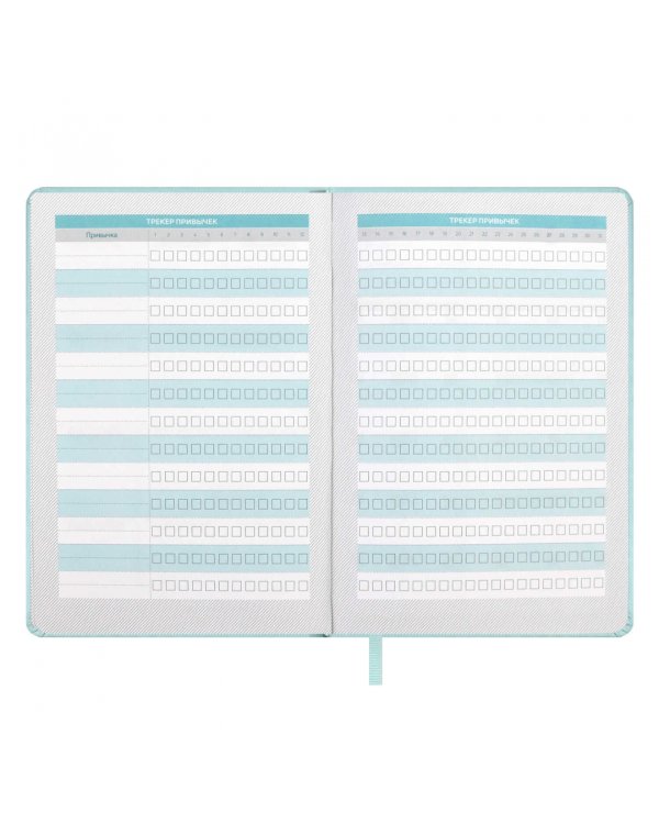 Планинг школьный Плонже мятный, А5, 80 листов