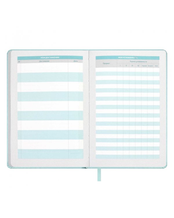 Планинг школьный Плонже мятный, А5, 80 листов