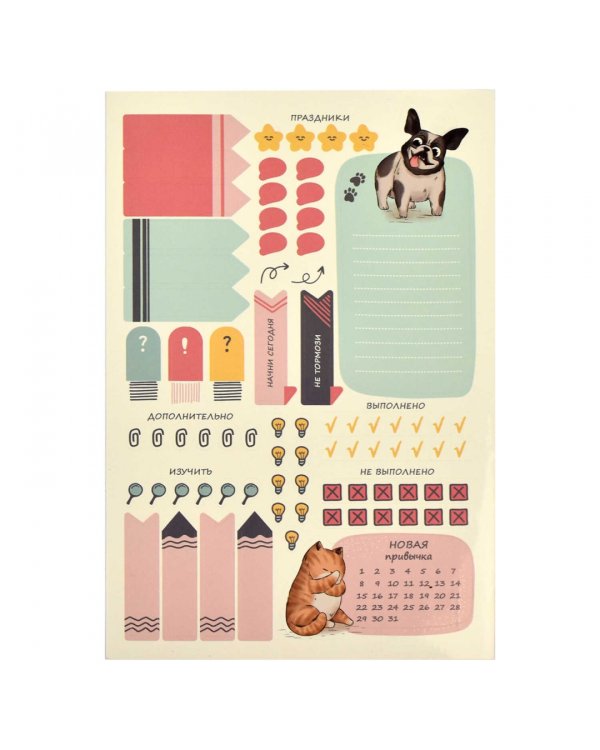 Планинг школьный Плонже мятный, А5, 80 листов