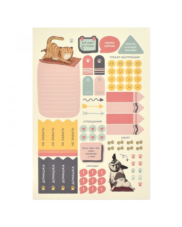 Планинг школьный Плонже мятный, А5, 80 листов