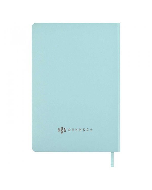 Планинг школьный Плонже мятный, А5, 80 листов