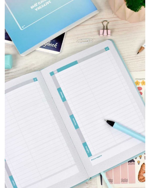 Планинг школьный Плонже мятный, А5, 80 листов