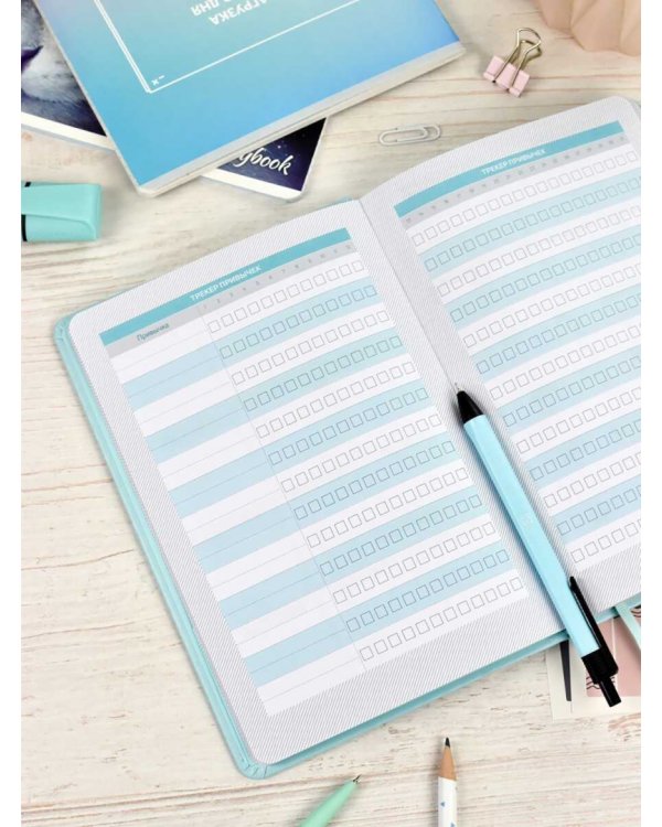 Планинг школьный Плонже мятный, А5, 80 листов