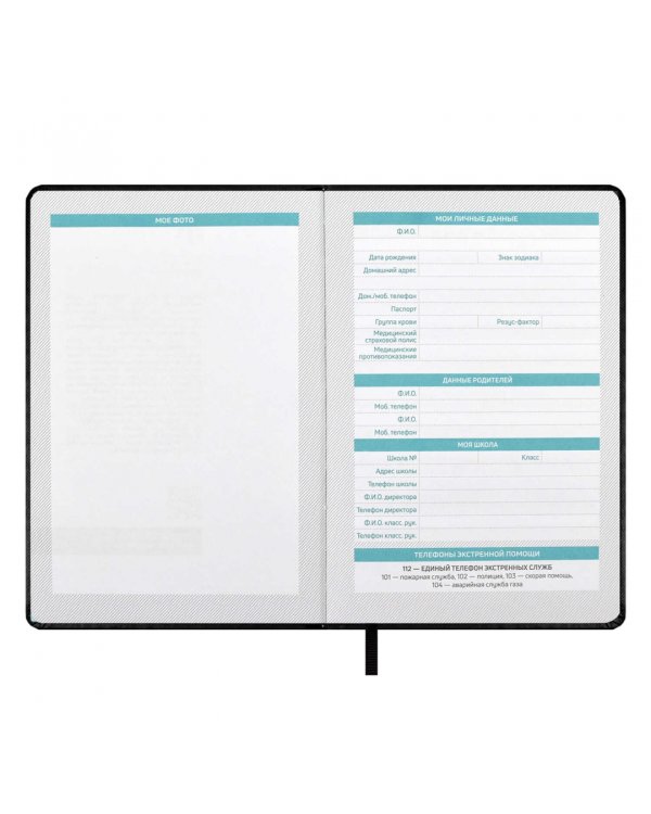 Планинг школьный Плонже чёрный, А5, 80 листов