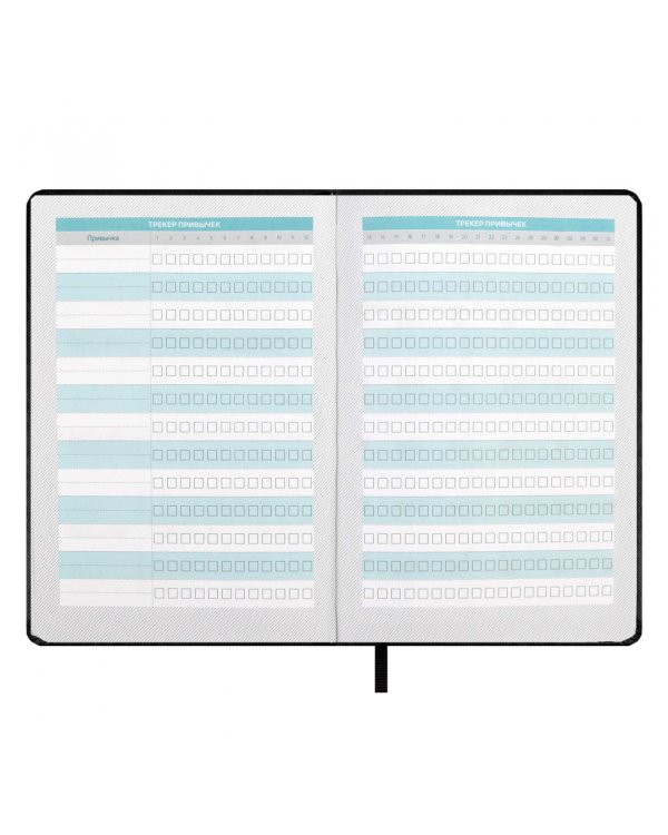 Планинг школьный Плонже чёрный, А5, 80 листов