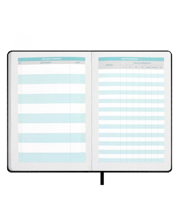 Планинг школьный Плонже чёрный, А5, 80 листов