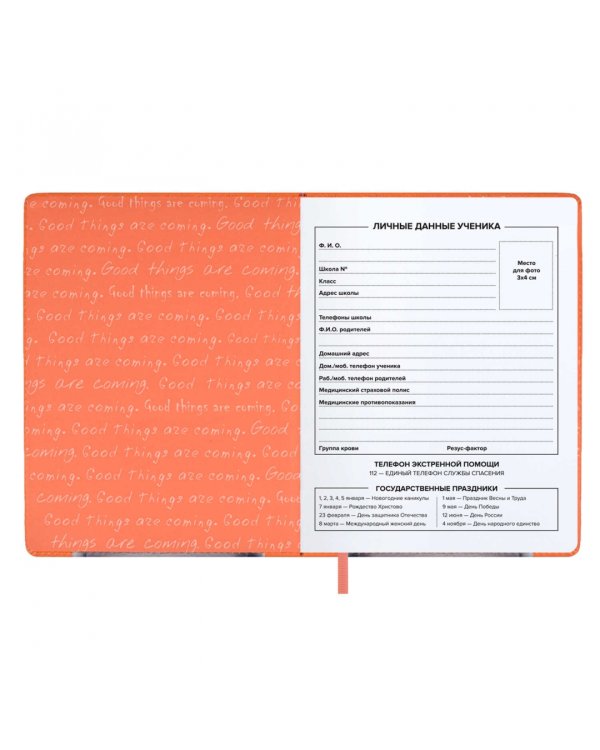 Дневник школьный Кот