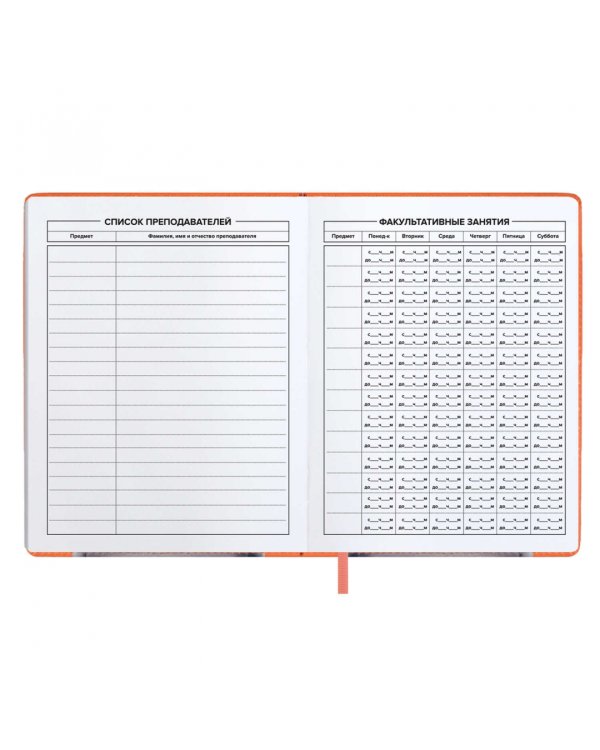 Дневник школьный Кот