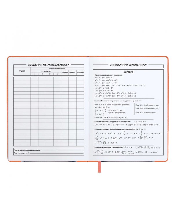 Дневник школьный Кот