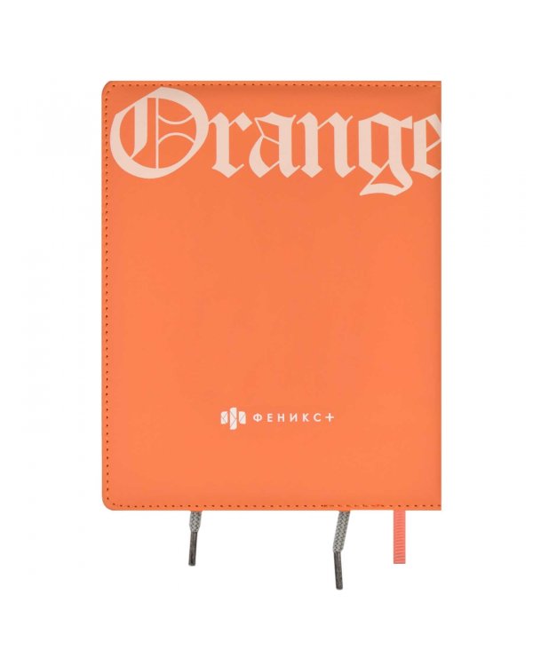 Дневник школьный Кот