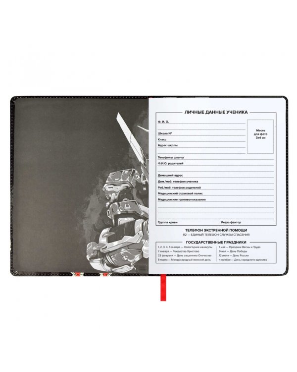 Дневник школьный Роботы