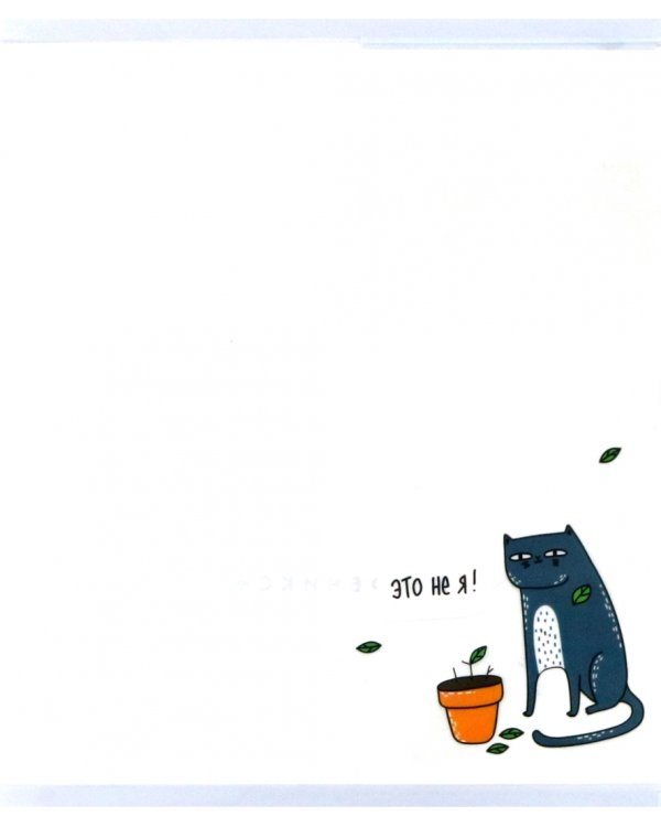 Обложки для тетрадей Жизнь животных, 3 штуки