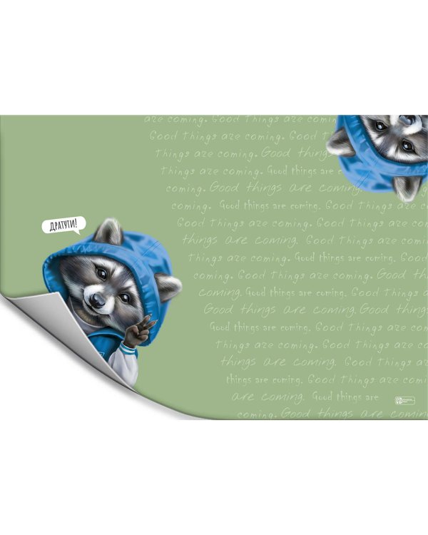 Плёнка цветная для уроков труда Енот