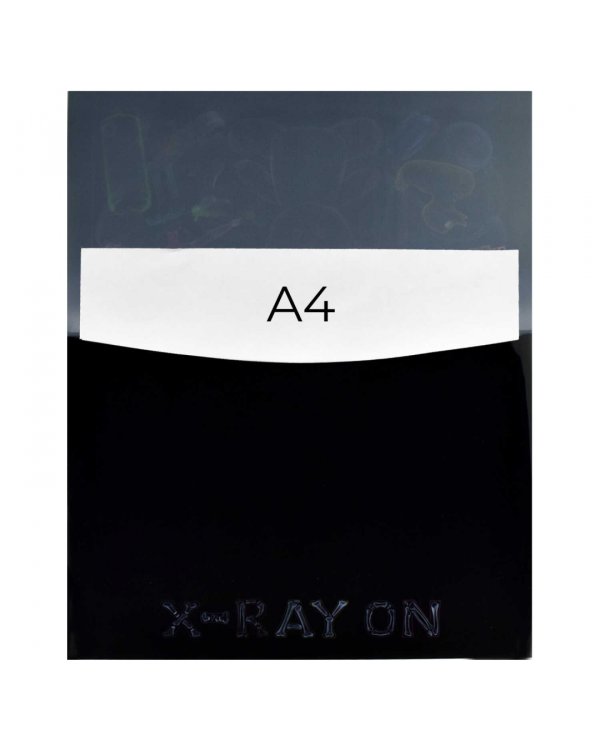 Папка для школьных тетрадей пластиковая Рентген, А4